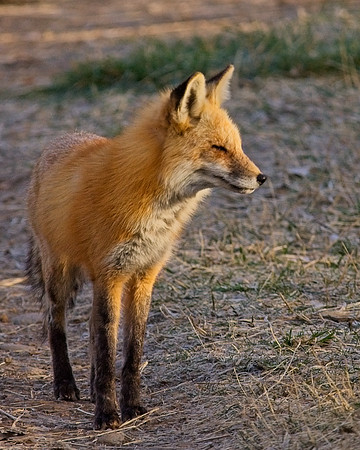 DSC03136_Export