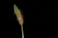 FRWP Macro Class-1227