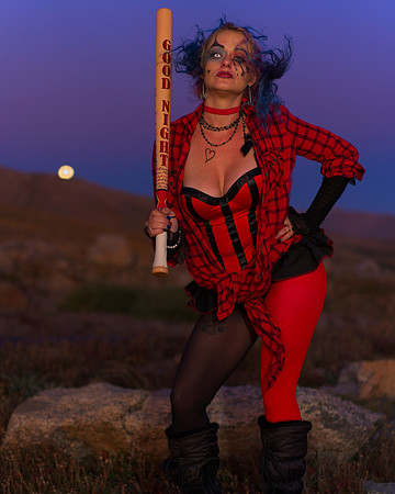 Harley (13)