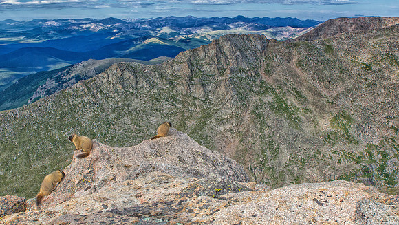 WAW-Marmot Family Portrait-5498-5498