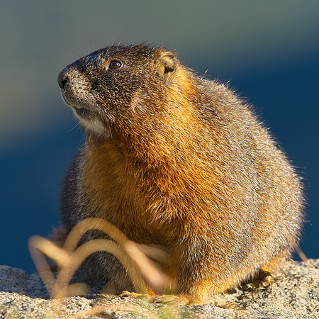 Mt Evans (37)