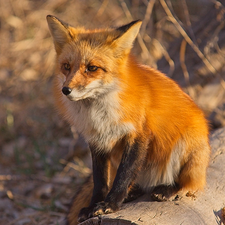 DSC02791_Export