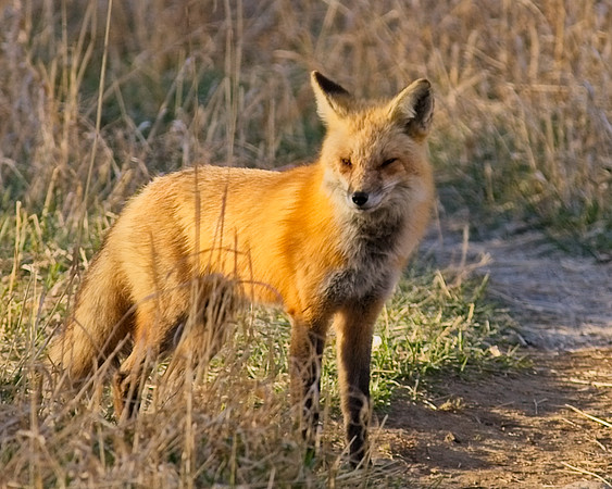 DSC03320_Export