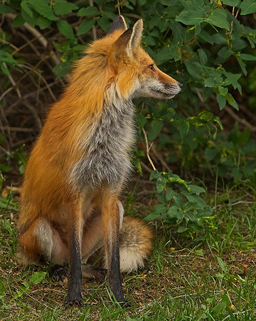 _JAY2758