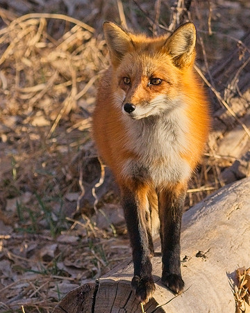 DSC02752_Export