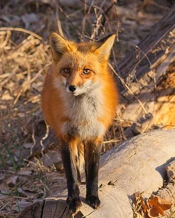 DSC02750_Export