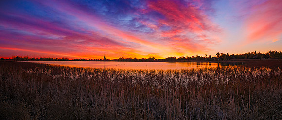 CHP 10-29 (1) Pano copy