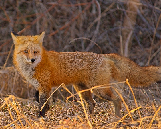DSC02508