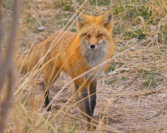 DSC03446