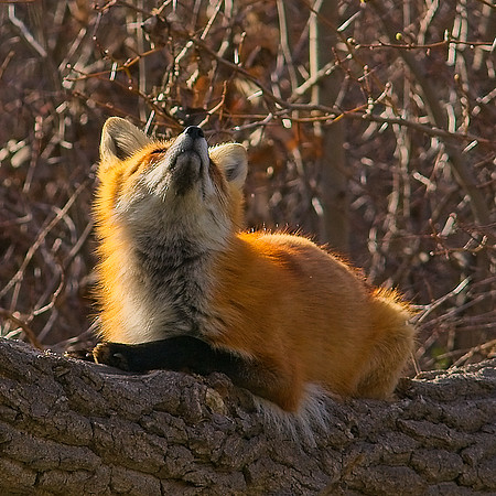 DSC04070