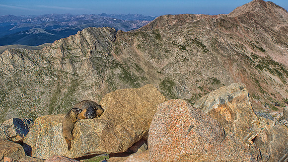 Marmot Scape-6284