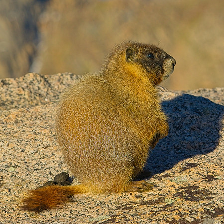 _DSC1443_Export