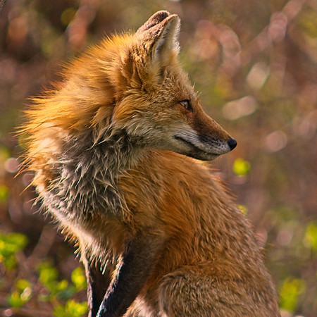 DSC04984_Export