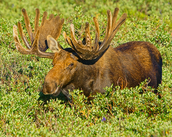 _DSC2758_Export