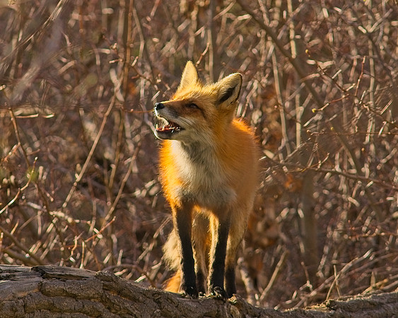 DSC03921