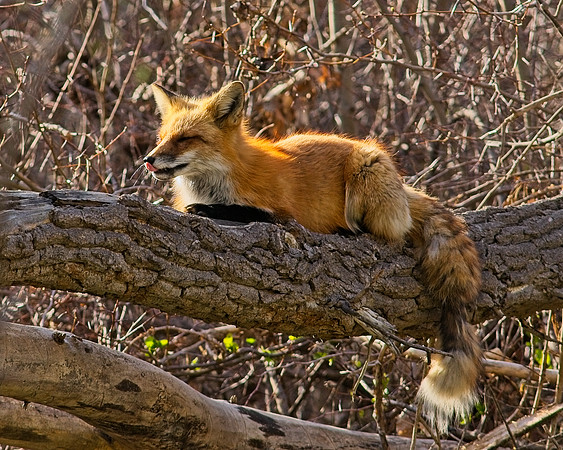 DSC04007
