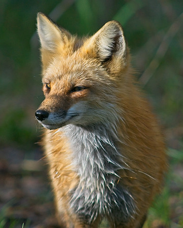 DSC04840_Export
