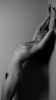 untitled-07541