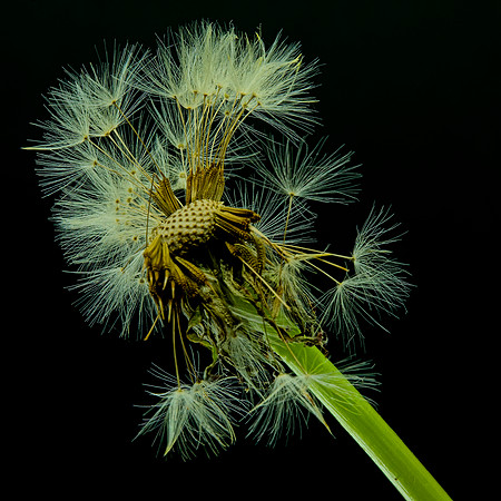MACRO 7-18 (1)