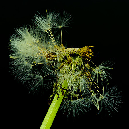 MACRO 7-18 (2)