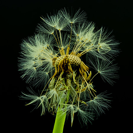 MACRO 7-18 (3)