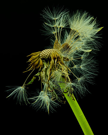MACRO 7-18 (4)