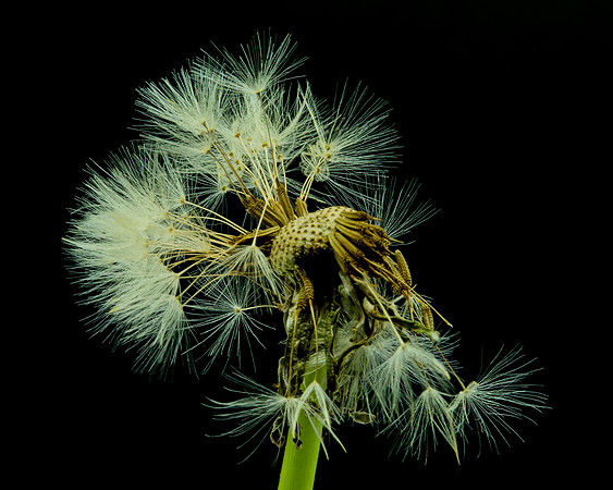 MACRO 7-18 (8)