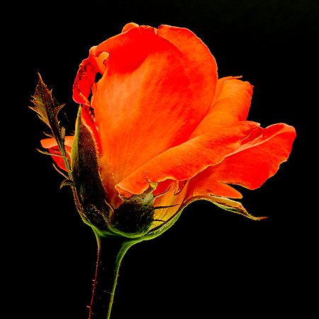 MACRO 8-5-26 (6)