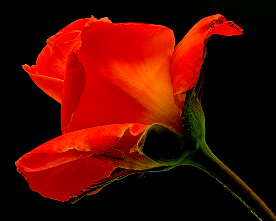MACRO 8-5-26 (4)