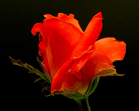 MACRO 8-5-26 (1)
