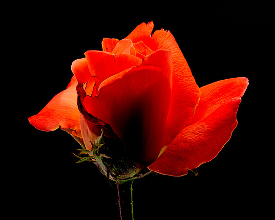 MACRO 8-5-26 (8)