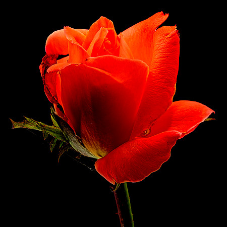 MACRO 8-5-26 (10)