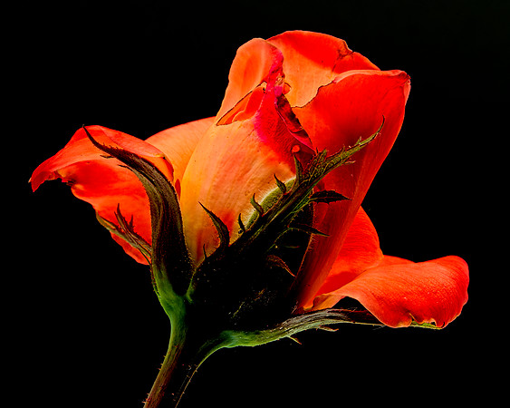 MACRO 8-5-26 (13)