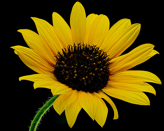 MACRO 8-8-26 (3)