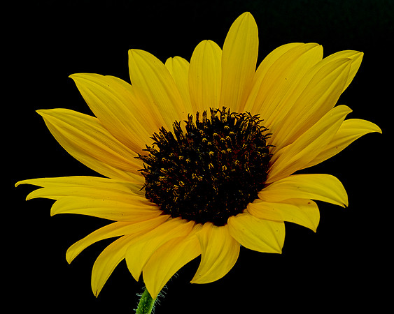 MACRO 8-8-26 (2)