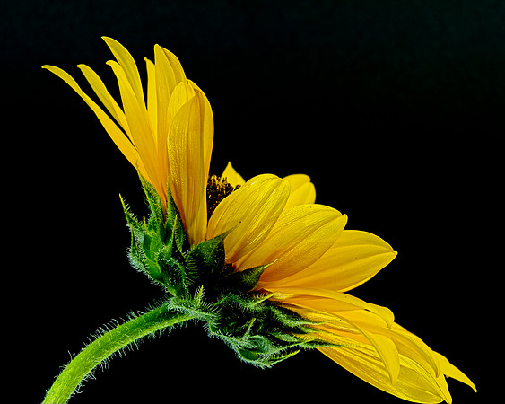 MACRO 8-8-26 (4)