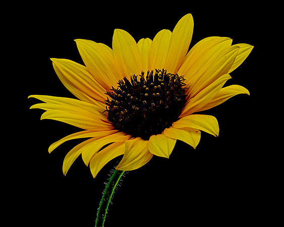MACRO 8-8-26 (7)