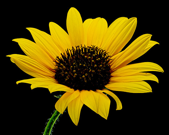 MACRO 8-8-26 (8)