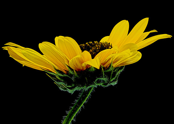 MACRO 8-8-26 (9)