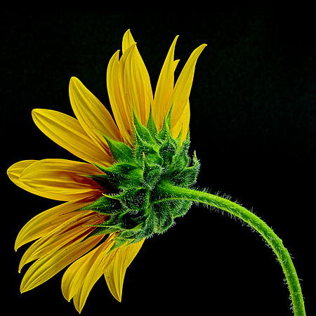 MACRO 8-8-26 (6)