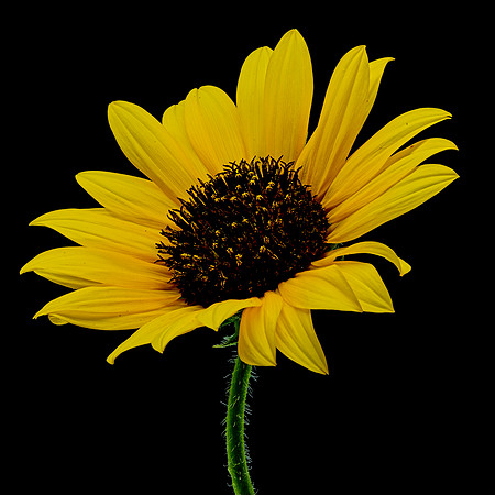 MACRO 8-8-26 (13)