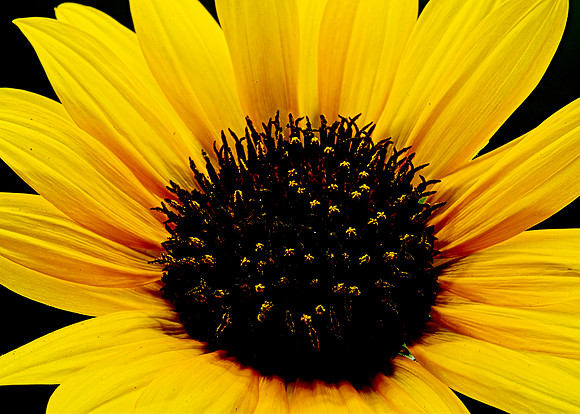 MACRO 8-8-26 (10)