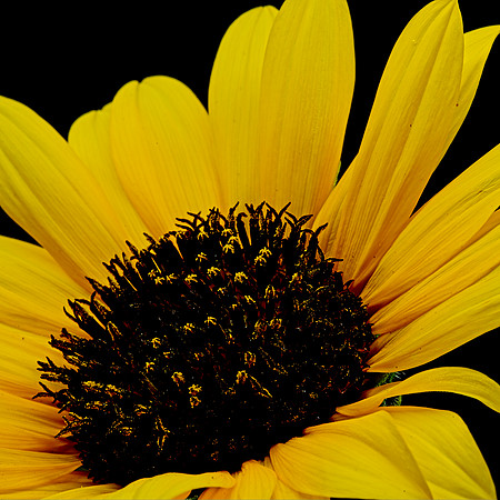 MACRO 8-8-26 (14)