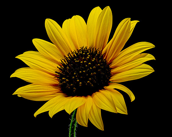 MACRO 8-8-26 (16)
