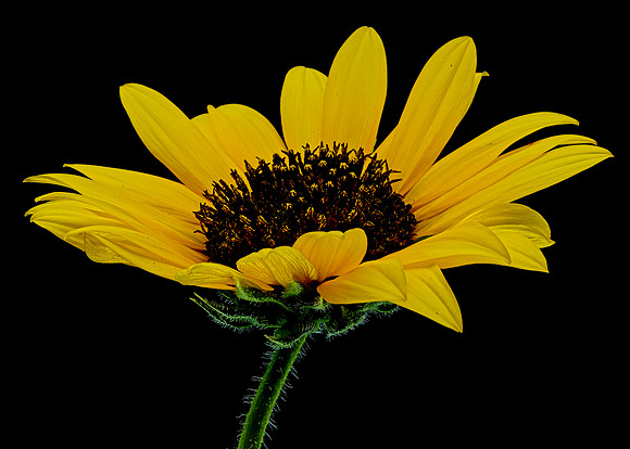 MACRO 8-8-26 (18)