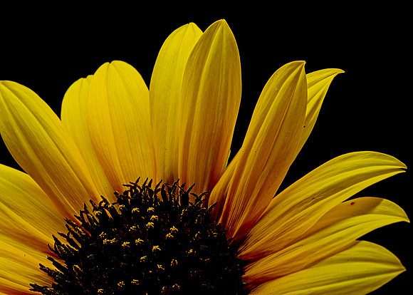 MACRO 8-8-26 (17)