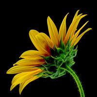 MACRO 8-8-26 (5)