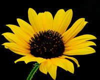 MACRO 8-8-26 (1)