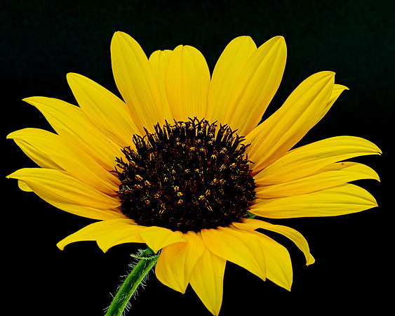 MACRO 8-8-26 (1)