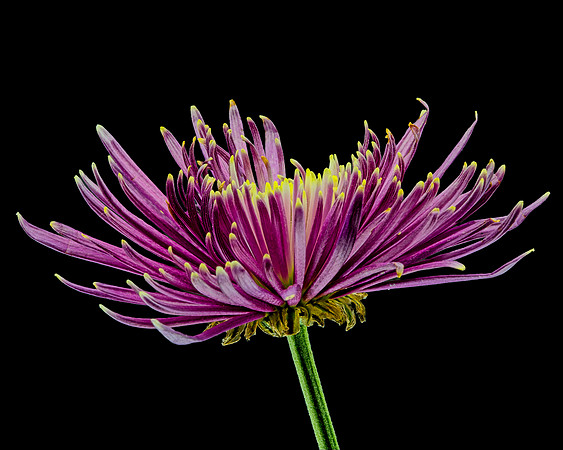 MACRO 8-30-26 (1)